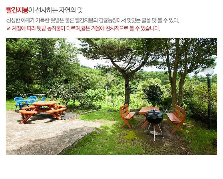 The Jeju Red Roof Pension Seogwipo Exterior photo