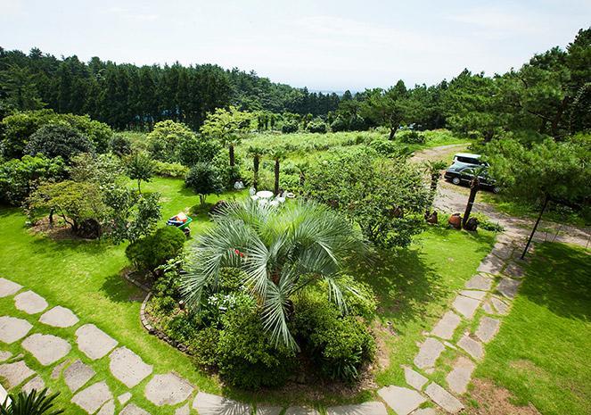 The Jeju Red Roof Pension Seogwipo Exterior photo