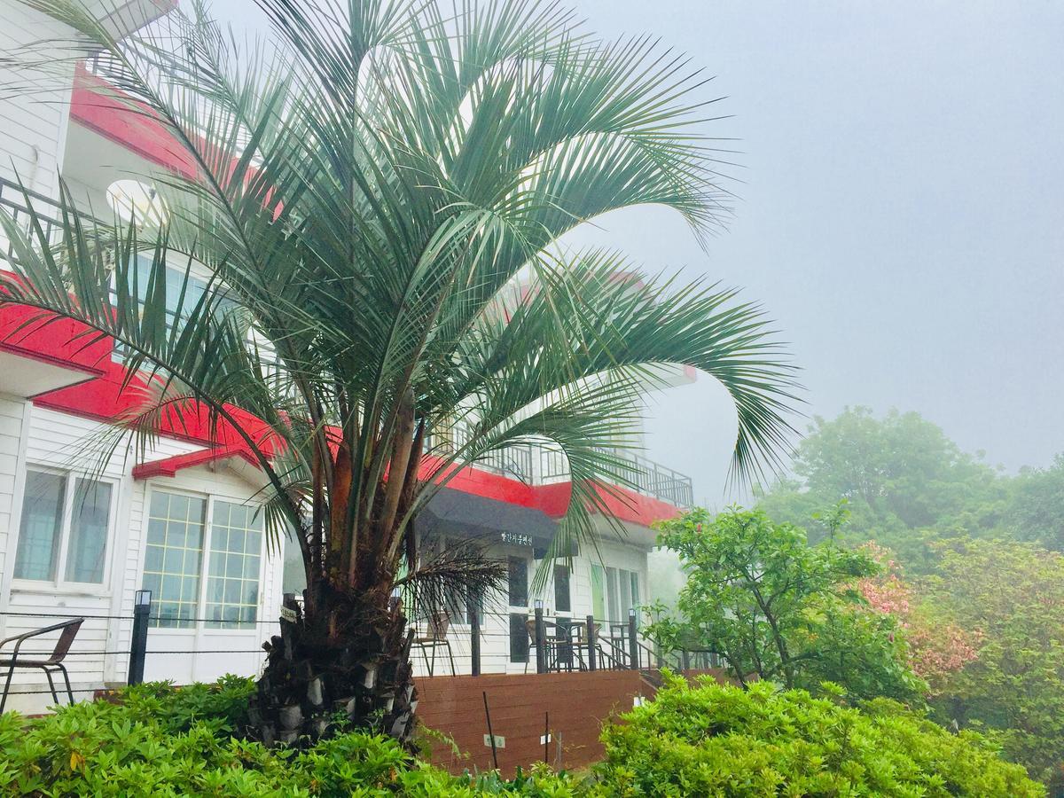 The Jeju Red Roof Pension Seogwipo Exterior photo